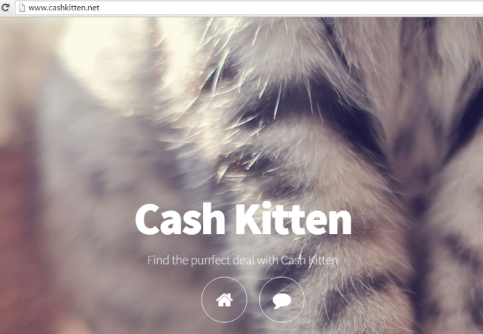 cash-kitten-ads